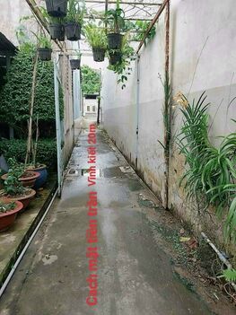 BAN NHA CHỦ GỐC CHUA QUA ĐẦU TƯ. CACH MẶT TIỀN TRẦN VĨNH KIẾT 20M