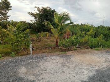 Bán đất nền dự án