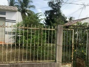 Bán 150 m2 CLN Tân Phú Cái Răng Cần Thơ giá rẻ