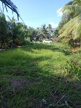 Cần bán nền không nhu cầu sử dụng