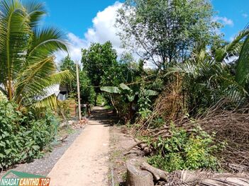 Bán 600m2 đất CLN, Đông Phước A, Châu Thành HG