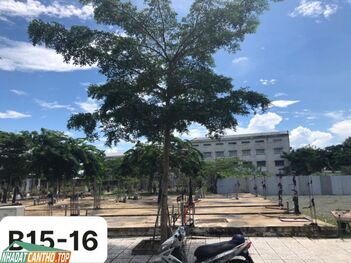 bán đất nền kèm móng dự án an phú centerpoint