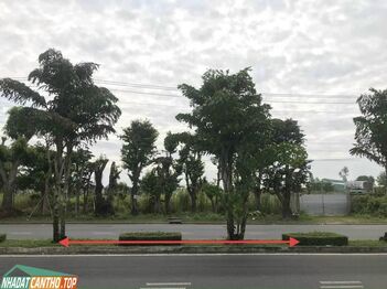 Bán nền mặt tiền NGUYỄN VĂN CỪ Nối Dài, xã Mỹ Khánh, huyện Phong Điền, Thành Phố Cần Thơ