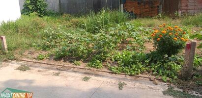 Hàng hiếm nền thổ cư hẻm 4 bùi hữu nghĩa, xung quanh nhà cửa đông đúc