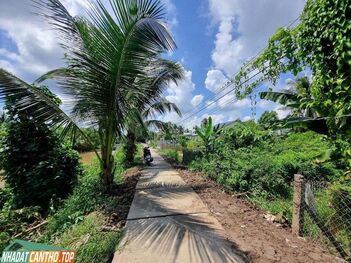 Nền thổ cư gần chợ Giáo Mẹo lộ cặp sông mát mẻ Đông Thạnh Bình Minh