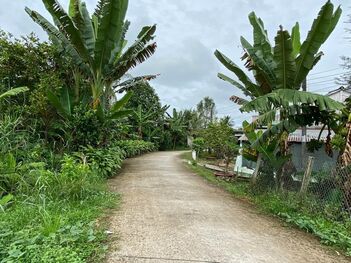 Siêu phẩm 3128m2 nghĩ dưỡng thuộc tâm thoi phong điền