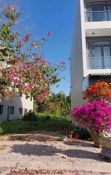 CHỦ KẸT TIỀN CẦN BÁN LÔ ĐẤT ĐẸP CẶP QL91