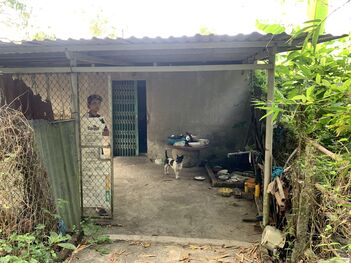 Bán 2 căn nhà và đất gần chợ Rạch Ròi, Phụng Hiệp,  Hậu Giang