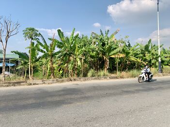 Bán gấp 672m2 đất mặt tiền Nguyễn Văn Cừ nối dài kế bên KDL Mỹ Khánh