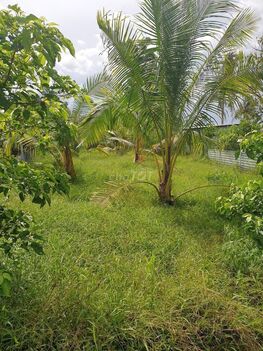 Bán nền đẹp rẻ gần chợ Mỹ Hoà, Bình Minh, Vĩnh Long