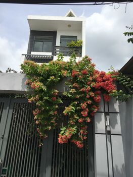Nhà ngói mái Thái 03 tầng, TTTM Phong Điền, Cần Thơ