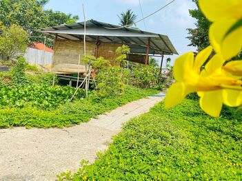 KHU NGHĨ DƯỠNG TUYỆT ĐẸP KHU VỰC BÌNH HƯNG - PHƯỚC THỚI - Ô MÔN