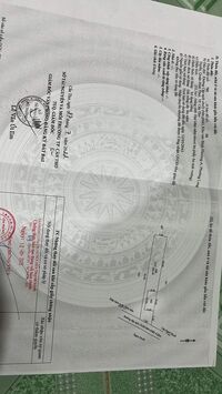 Nền Biệt Thự 303m có 50 Thổ.