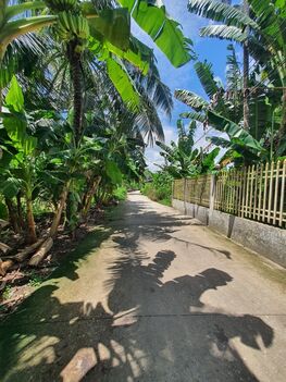 Bán đất 20m x 15m = 333m2 đất (150m2 TC), rạch Hàng Bần, Phú Thứ, Cái Răng, Cần Thơ. Giá chỉ 1,91tỷ, giá rẻ lắm rồi