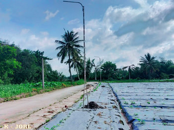 CHỈ CÒN 2 NỀN CỰC ĐẸP NHÀ ĐẦU TƯ ĐÃ MUA TẠI ĐÂY