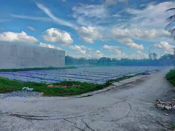 NỀN 647M2 CỰC VIP TRONG 5 NỀN CHỈ 3.79TỶ H. PHONG ĐIỀN TP CẦN THƠ