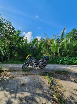 ĐẤT 15M X 40M = 611M2, 250M2 TC & 361M2 CLN) GIÁ 5,3TR/M2 (3,24TỶ), RẠCH XẺO LÁ, TRƯƠNG VĨNH NGUYÊN