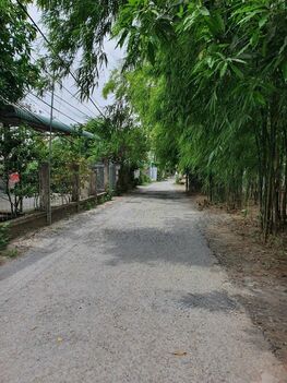 Bán 1.450m2 đất kế chân cầu Cái Chanh nhỏ, có 210 m² TC và 1.240m2 CLN, giá 2,9 tỷ(TL)