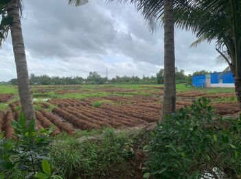 ☘️☘️☘️ BÁN 6 CÔNG ĐẤT (6000m2) MẶT TIỀN ĐƯỜNG PHẠM THỊ BAN, P.THỚI AN ĐÔNG, Q.BÌNH THUỶ, CẦN THƠ