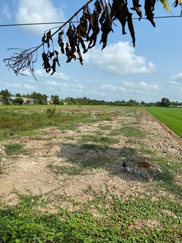 ☘️☘️☘️ ĐẤT CÔNG MẶT TIỀN QUỐC LỘ 61C, H.CHÂU THÀNH A, TỈNH HẬU GIANG