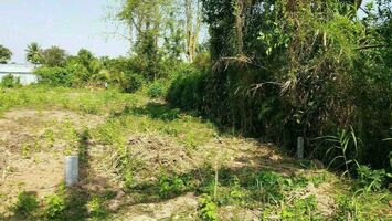 Bán gấp đất mặt tiền Bùi Hữu Nghĩa đã có sổ