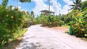 Nền Thổ Cư, Nhơn Ái, Ngang Chợ Phong Điền, Lộ Ôtô Tới Nền.