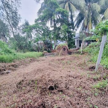#237 || ????295tr???? Bán Nền Đẹp Giai Xuân, Cách Chợ Cả Lang DT918 Khoảng 1,5km.