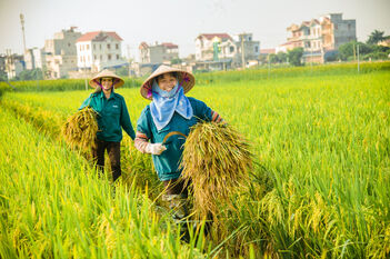 Bán đất mặt tiền đường Bốn Tổng  - Một Ngàn