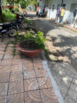 Nhà đất chính chủ