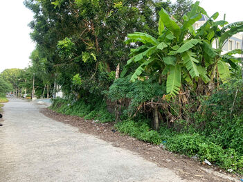 BÁN NỀN BIỆT THỰ VIP – ĐƯỜNG SỐ 1 KDC VẠN PHÁT CỒN KHƯƠNG – CÁI KHẾ, NINH KIỀU, CẦN THƠ