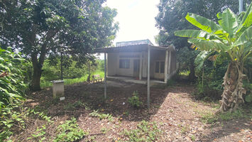 Bán Vườn 2469m2 TẶNG Căn Nhà 120m2, Cách QL61C Chỉ 300m, Nhơn Nghĩa, Phong Điền, TPCT.