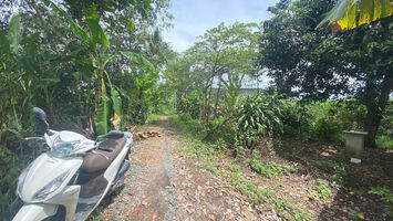 Bán Vườn 2469m2 TẶNG Căn Nhà 120m2, Cách QL61C Chỉ 300m, Nhơn Nghĩa, Phong Điền, TPCT.