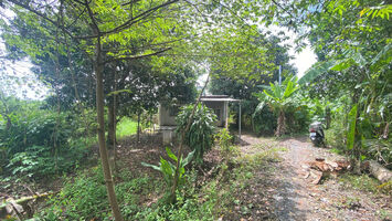 Bán Vườn 2469m2 TẶNG Căn Nhà 120m2, Cách QL61C Chỉ 300m, Nhơn Nghĩa, Phong Điền, TPCT.