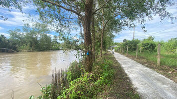 Bán Dãy 3 Nền View Sông Phong Điền, Gần Trường Mầm Non Nhơn Ái, Cách Cầu Trà Ếch 200m