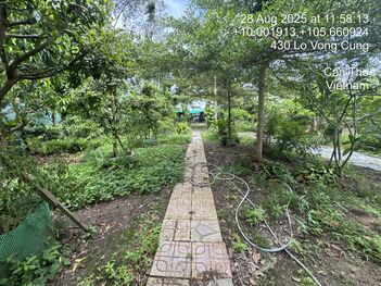 Bán 2466 m2 đất trung tâm huyện Phong Điền