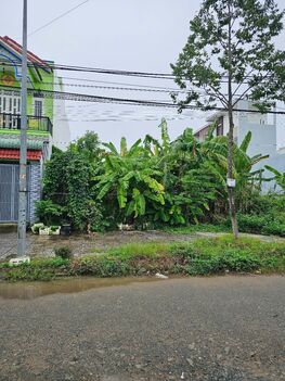Đất nền TDC 12,8ha. KDC Bình Nhựt