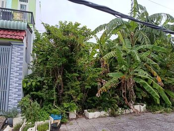 Đất nền Bình Nhựt 12,8ha