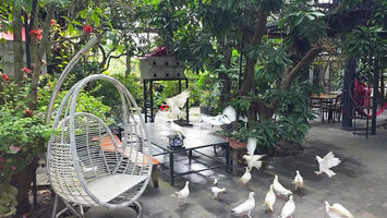 KHU SINH THÁI NGHỈ DƯỠNG - MẶT TIỀN ĐƯỜNG TRƯƠNG VĨNH NGUYÊN, P. PHÚ THỨ, Q. CÁI RĂNG, TP. CẦN THƠ.
