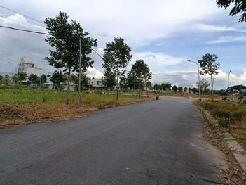 Nền rẻ Hồng Loan 6A