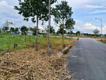 Nền rẻ Hồng Loan 6A