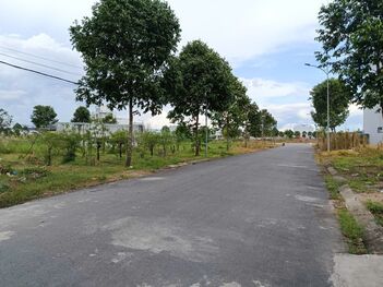 Nền rẻ Hồng Loan 6A