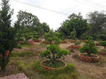 Bán gấp 5025m2 đất mặt tiền đường tỉnh 925, Châu Thành, Cần thơ