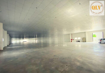 BÁN NHÀ XƯỞNG – KCN THÀNH THÀNH CÔNG, TN – 8.033m²