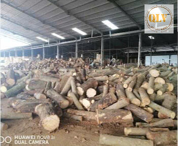 CHO THUÊ  XƯỞNG GỖ -  TÂN PHÚ,  ĐỒNG PHÚ, BP – 14.000m²