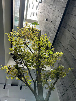 Bán gấp nhà 3 lầu mặt tiền đường Nguyễn Văn Lưu (1B), KDC Nam Long, Cần Thơ