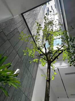 Bán gấp nhà 3 lầu mặt tiền đường Nguyễn Văn Lưu (1B), KDC Nam Long, Cần Thơ