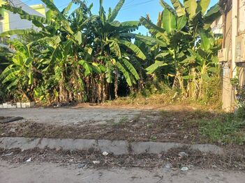 Nền full thổ KDC Bình Nhựt 12, 8ha. 5×20