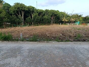 Nền rẻ full thổ Rạch Sung, Nhơn Nghĩa, Phong Điền