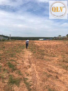 Bán đất trống Phước Hòa, Phú Giáo 48.405m²