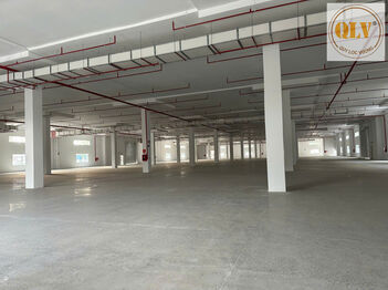 CHO THUÊ NHÀ XƯỞNG – KCN TÂN BÌNH, BD – 24.000m²